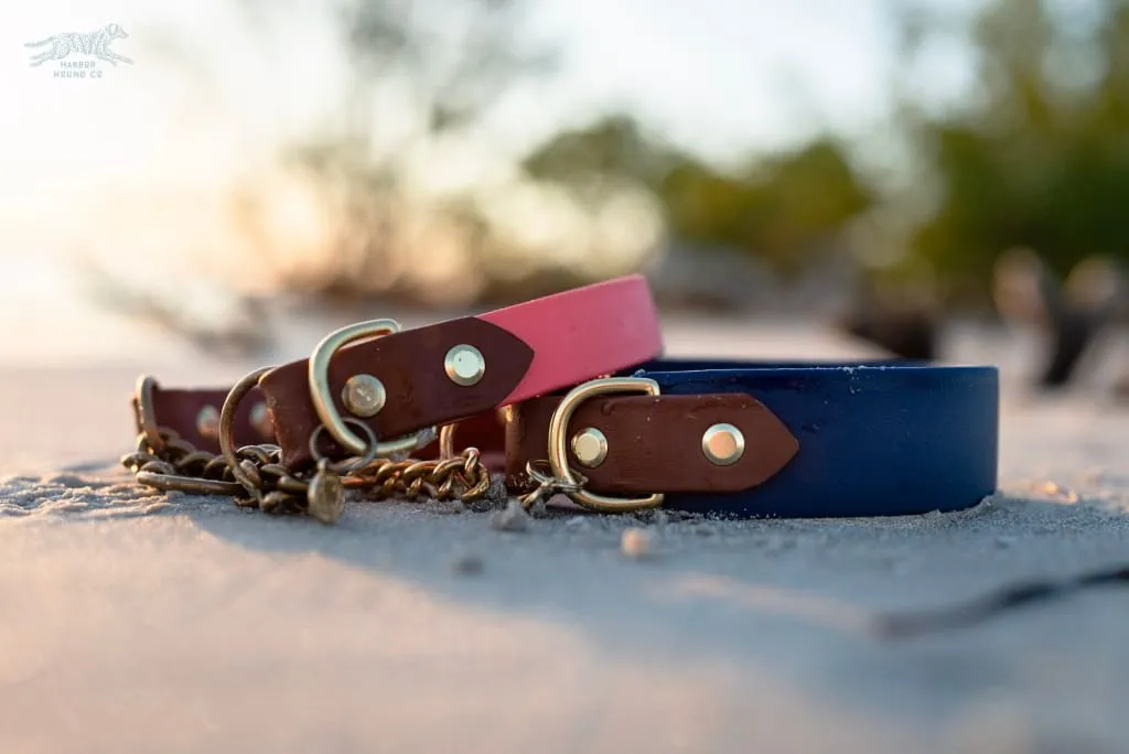 The Rua, 1.5" Two-Tone Waterproof Martingale Collar