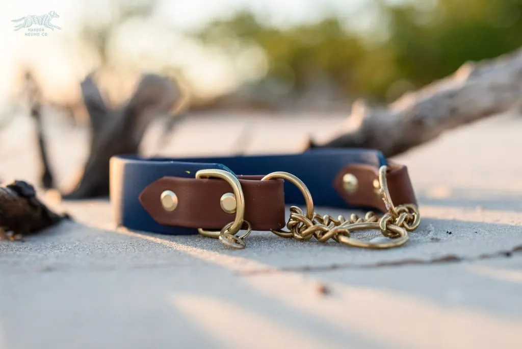 The Rua, 1.5" Two-Tone Waterproof Martingale Collar