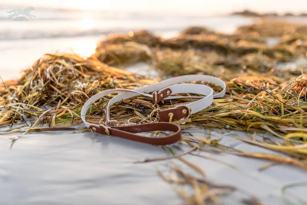 The Rua, 1" Two-Tone Waterproof Martingale Collar