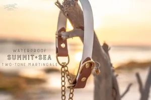 The Rua, 1" Two-Tone Waterproof Martingale Collar