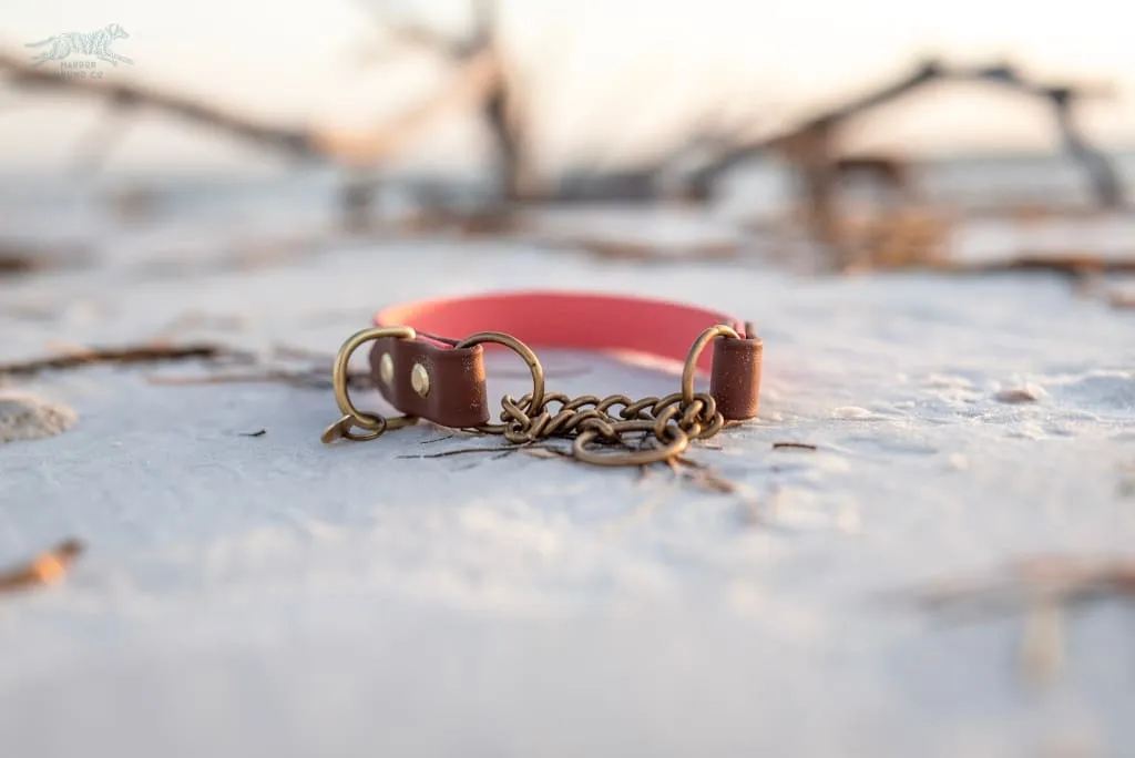 The Rua, 1" Two-Tone Waterproof Martingale Collar