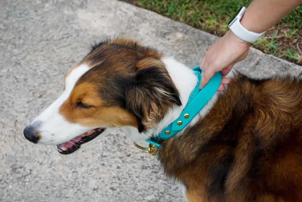 The Taolo, 1.5" Waterproof Quick Control Handle Collar